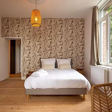 Maison Plaine Images - Colodge Roubaix